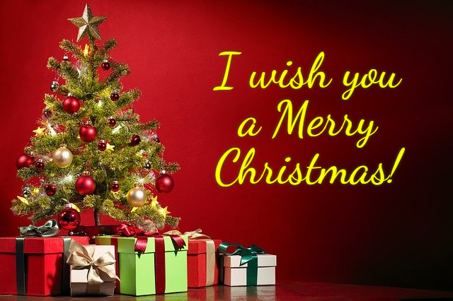 I wish you a Merry Christmas!